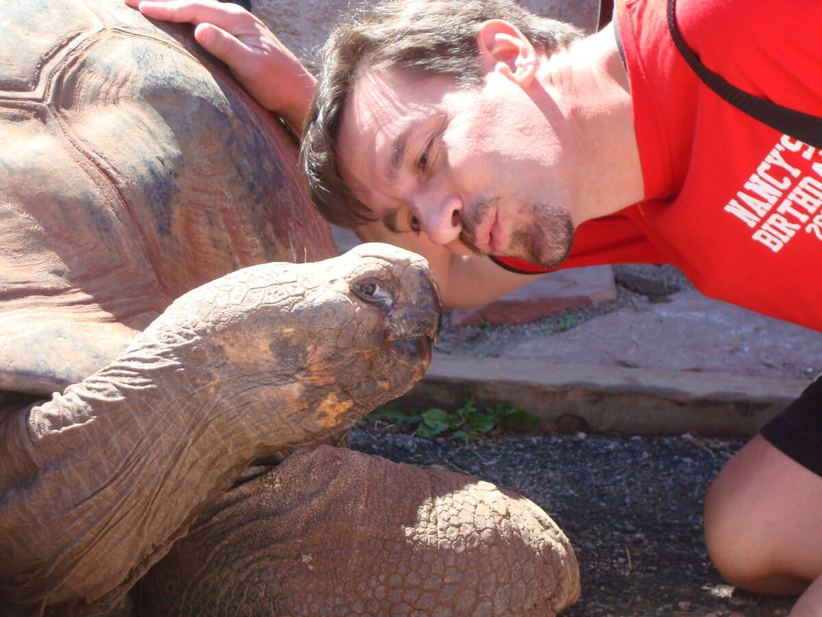 Visit the Giant Tortoises