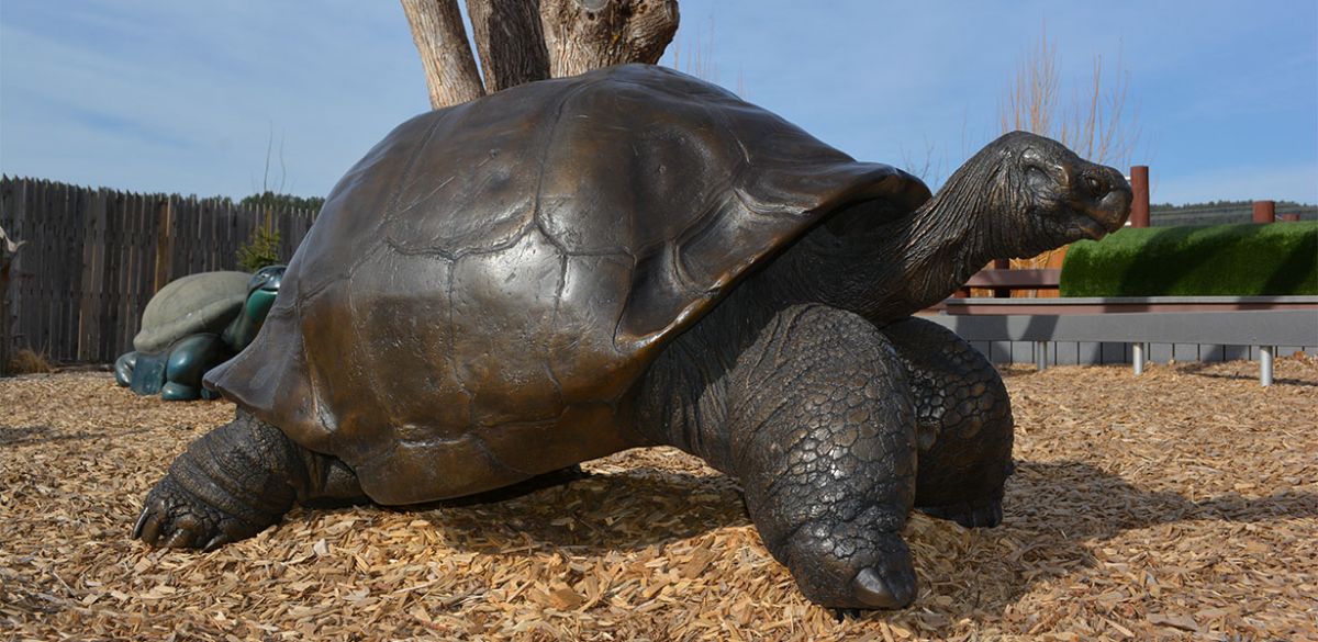 Methuselah Statue